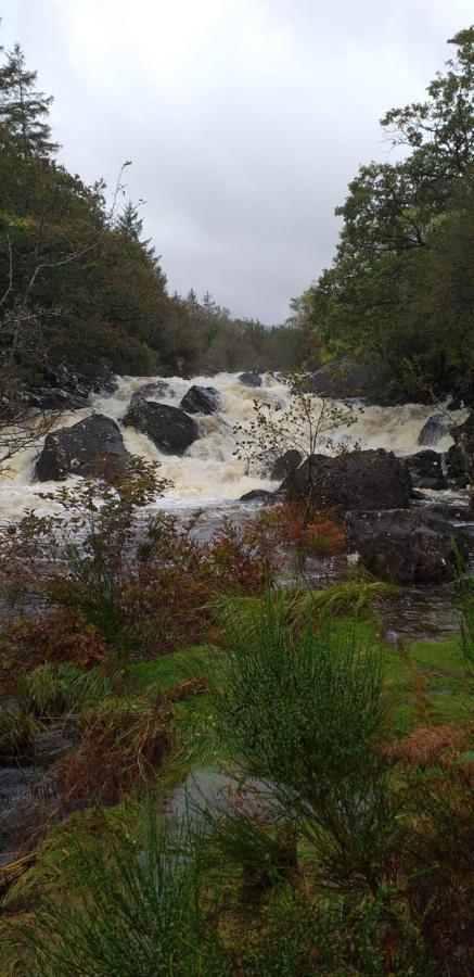 Lios Daire Killarney Bagian luar foto